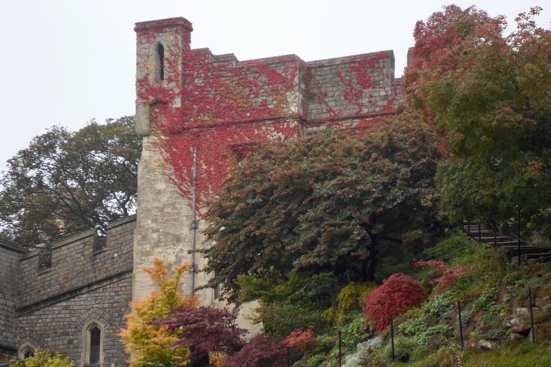 2184639A-43F8-44D4-822D-80B70C418C36