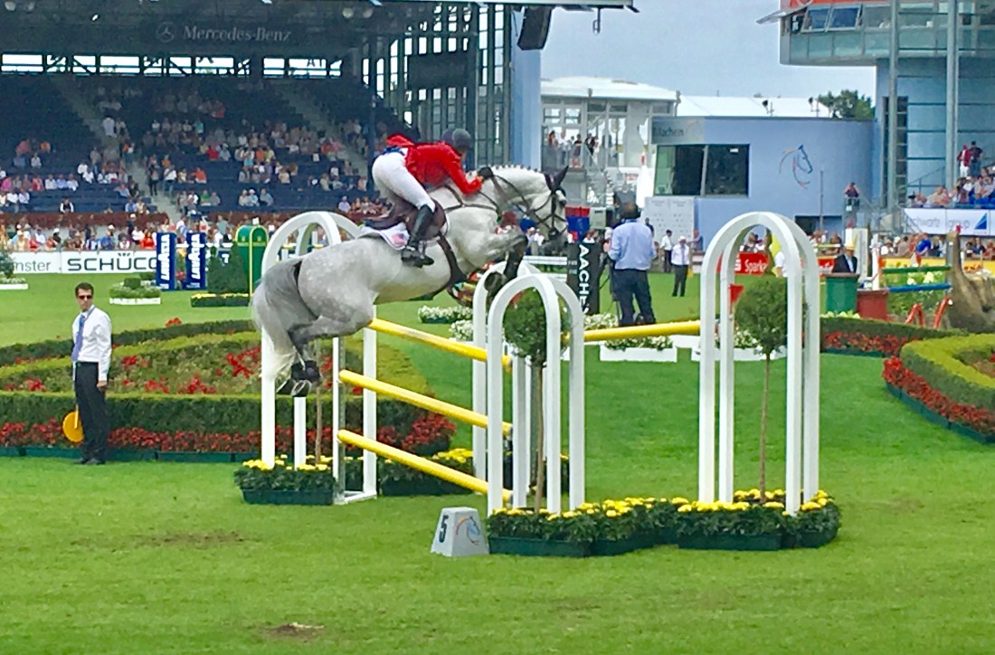 38353DF6-1FE9-427A-BF56-4544F9291B95