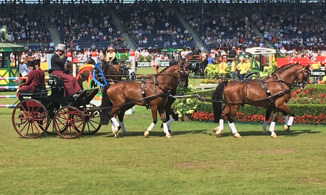 4A846F7B-D2F6-48ED-9054-5207B5375605