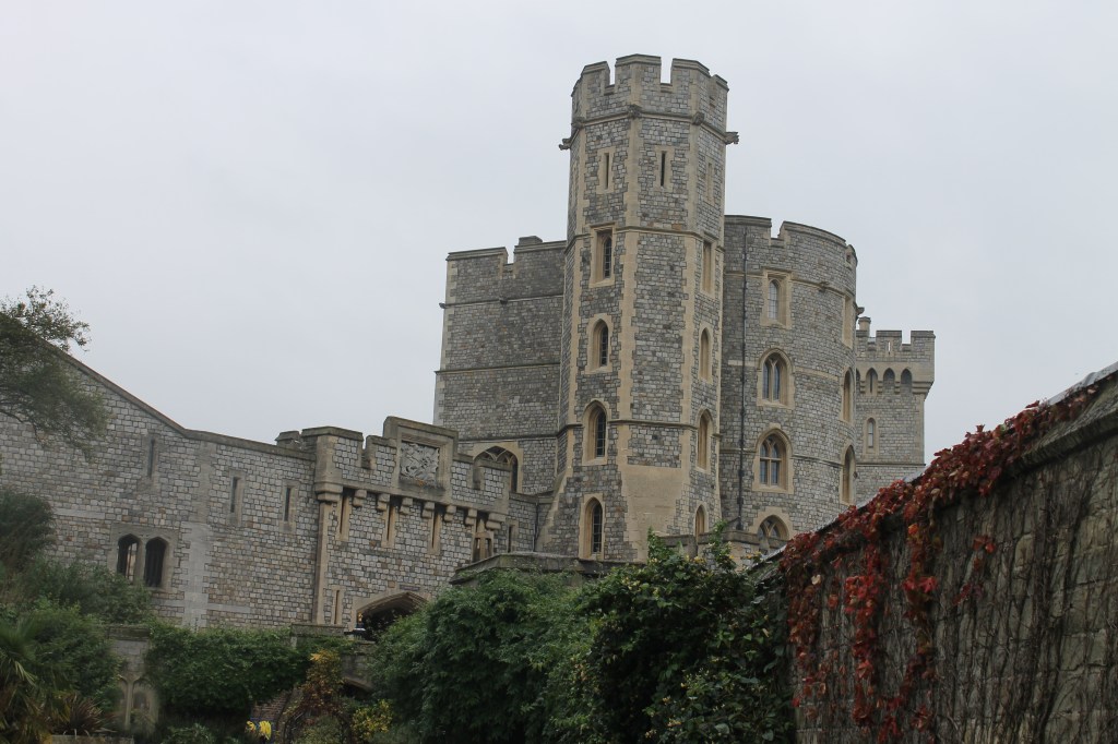 D8366AF2-65A8-40D6-810F-226AE98D5DA4