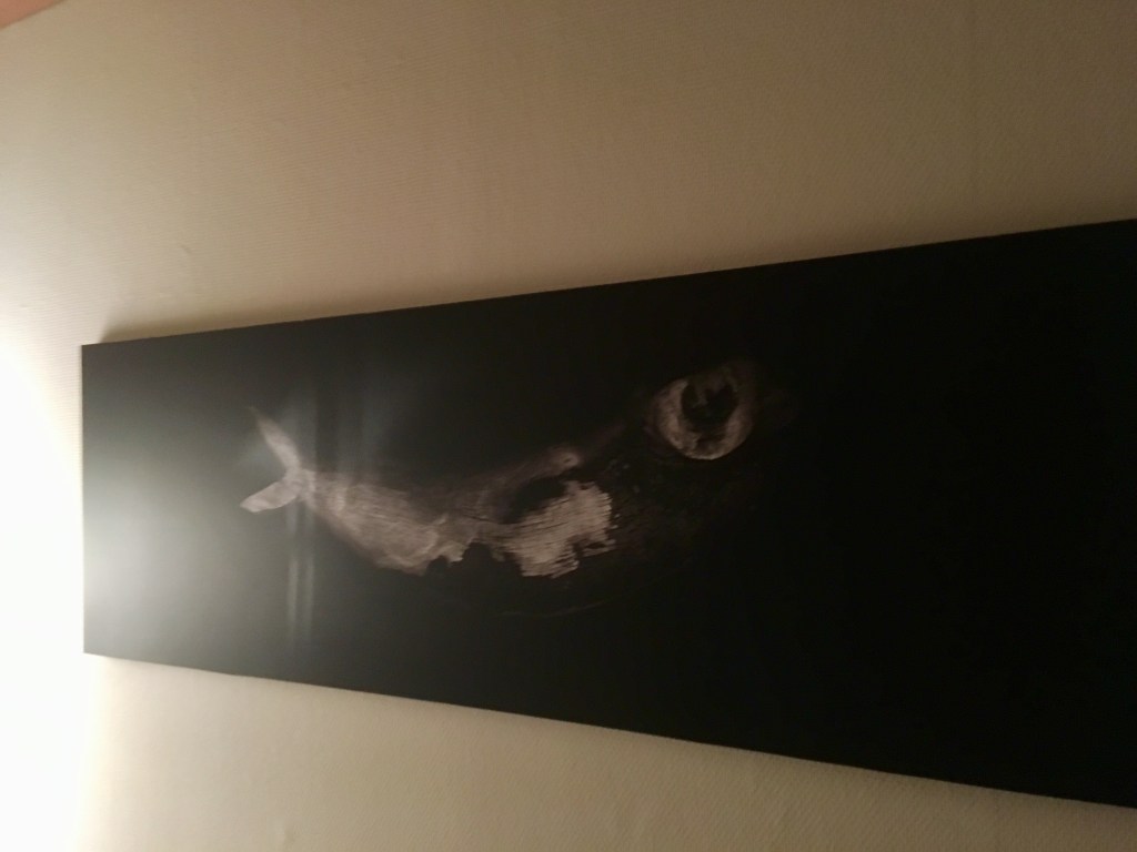 162051C6-0359-442D-A1E2-D1CCE764D279