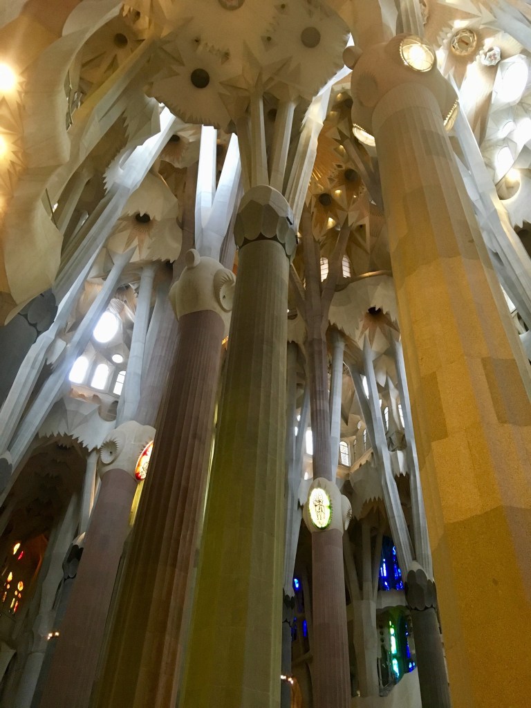 4FA2137A-4454-4BAE-9119-5F22362B0805