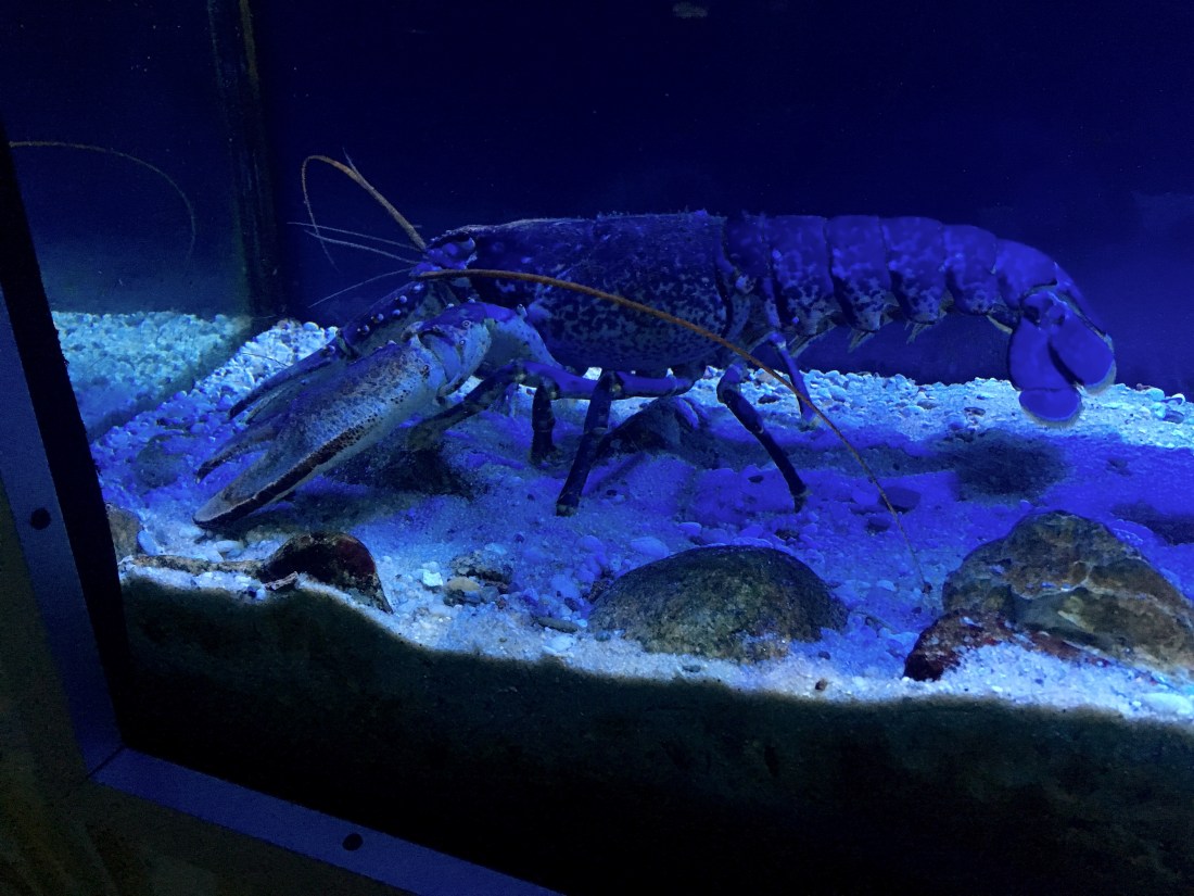 718D3D4E-5E06-4C46-B57E-F32777993FA1