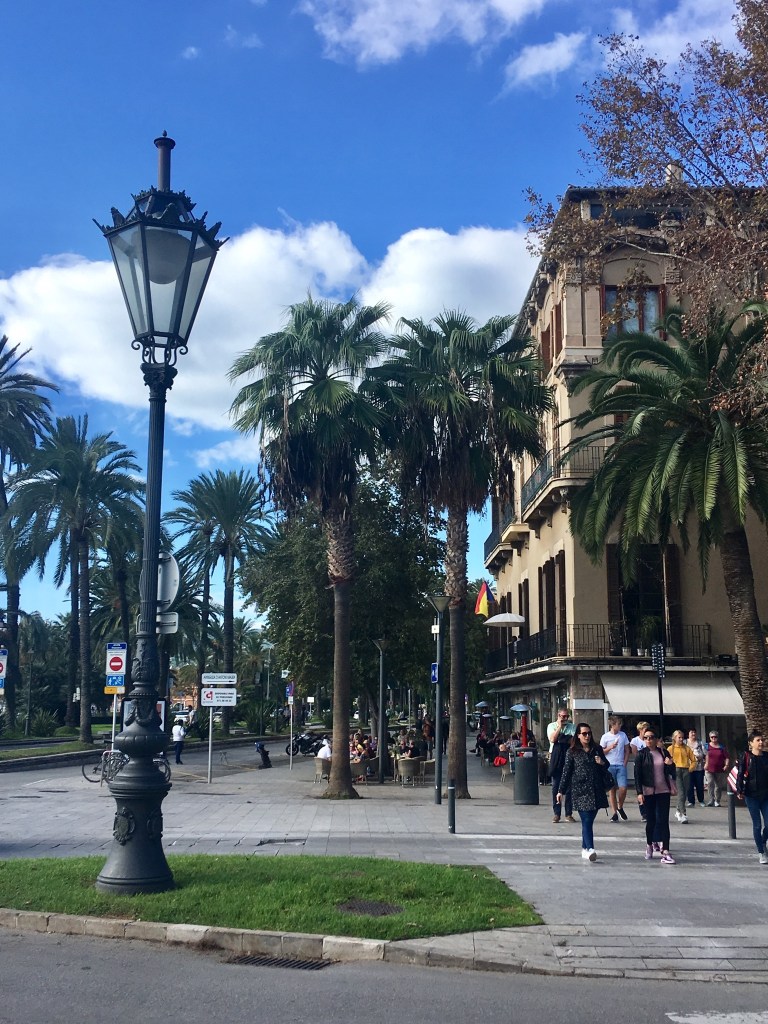 AAA48C0D-5298-4E7F-9994-E69412A1998B