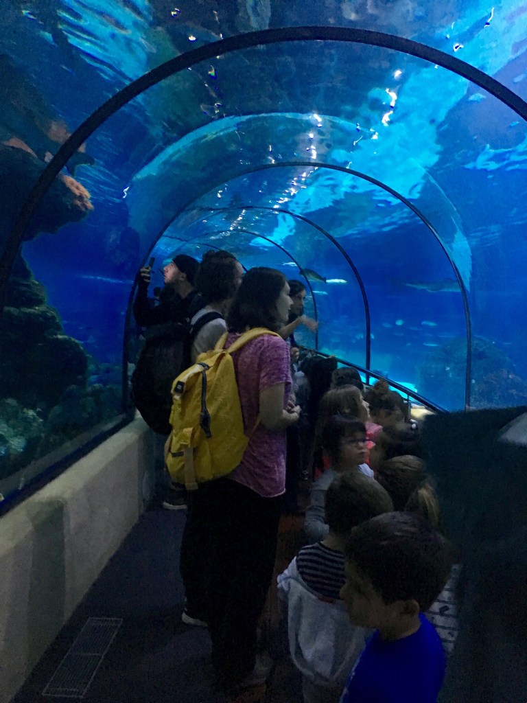 AC2366BA-70CE-4CCE-9B5D-DD2F340AEE81