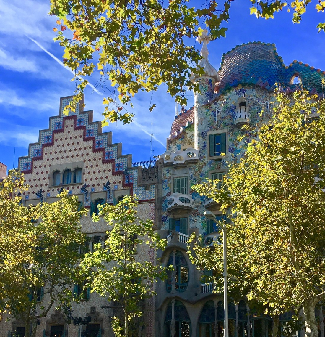 BB14F0F9-32D2-4EE2-8C12-8A01C7C08F9B