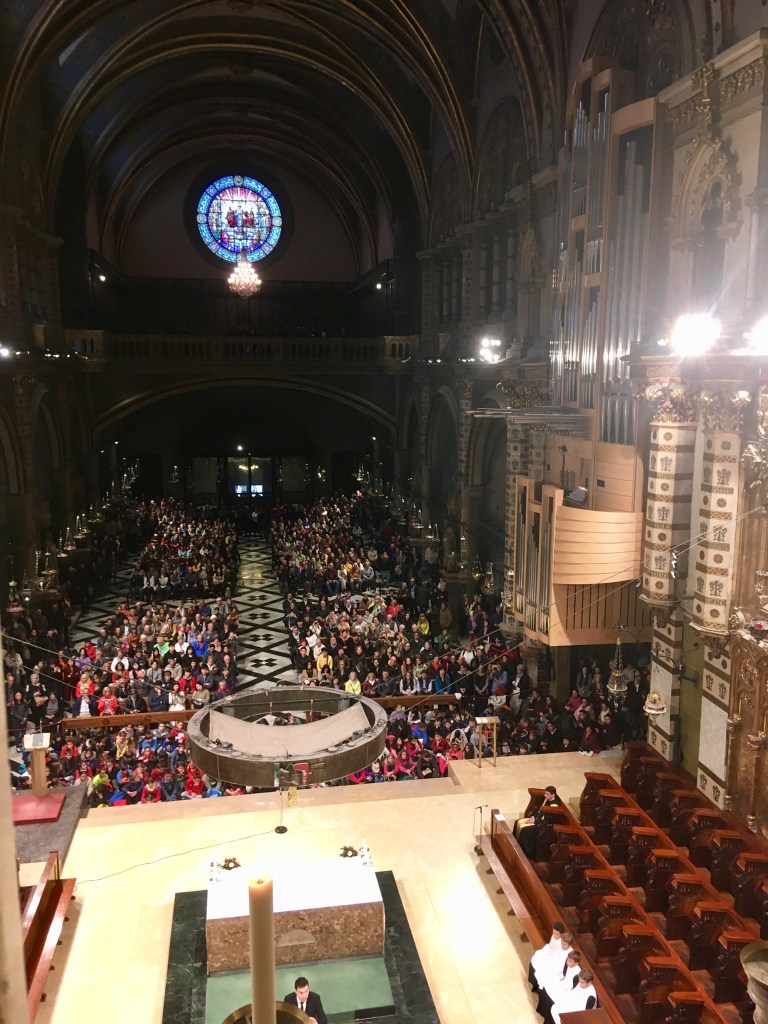 E21F7542-8DB0-40AA-B96C-9B00395045B3